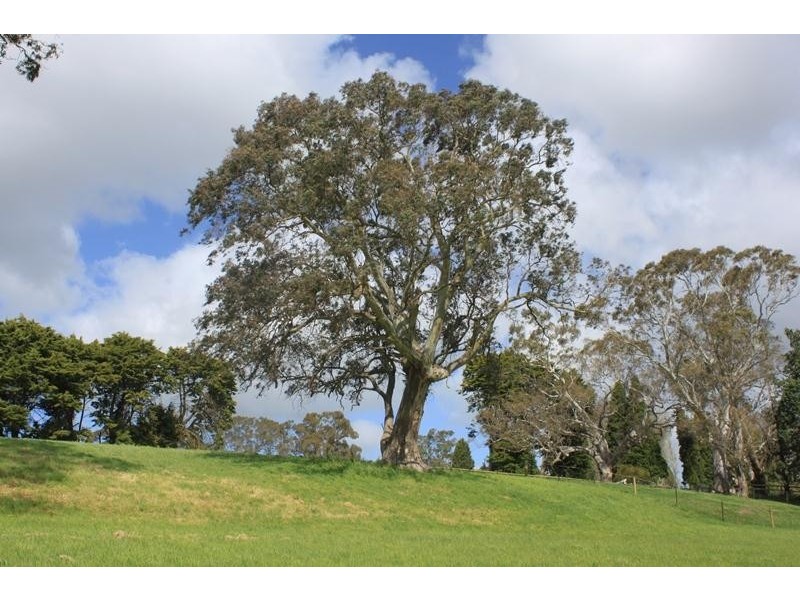 73a Joseph Court, Blakiston SA 5250