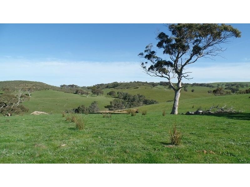 Lot 2 Blackmore Road, Paris Creek SA 5201