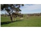 Lot 2 Blackmore Road, Paris Creek SA 5201
