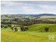 2297 Bull Creek Road, Ashbourne SA 5157