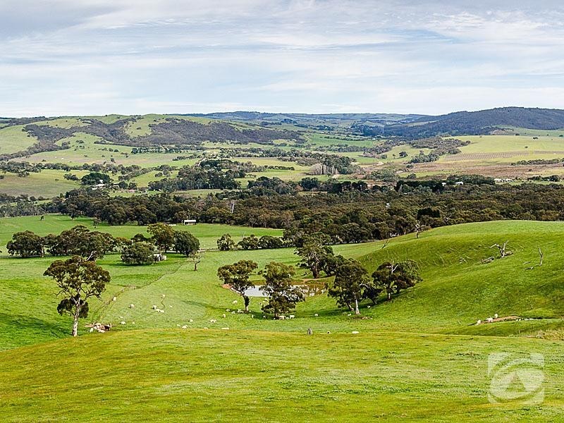 2297 Bull Creek Road, Ashbourne SA 5157