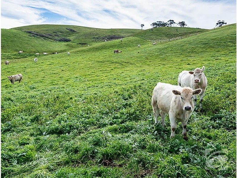 2297 Bull Creek Road, Ashbourne SA 5157