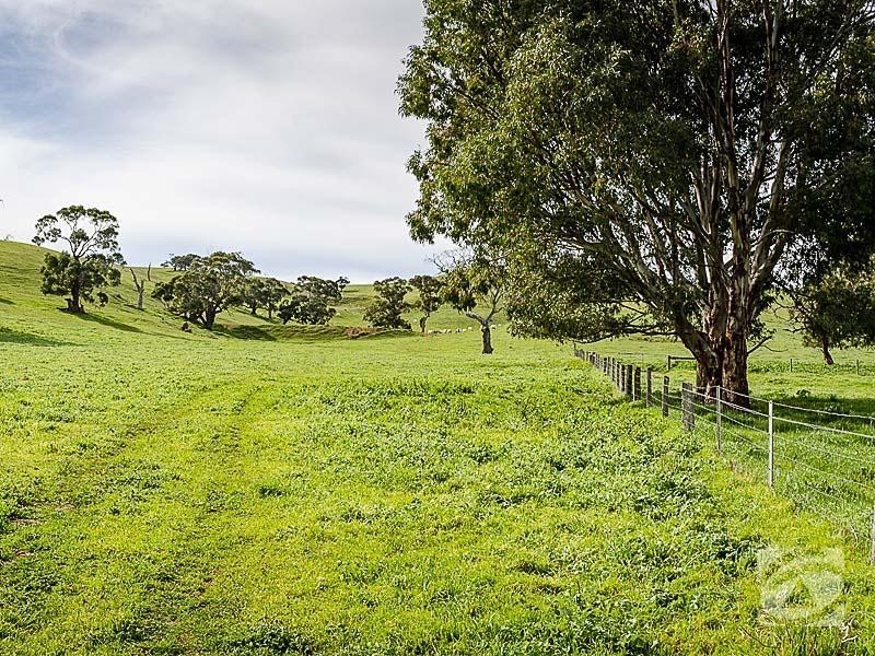 2297 Bull Creek Road, Ashbourne SA 5157
