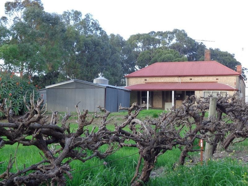 30 Burleigh Street, Langhorne Creek SA 5255