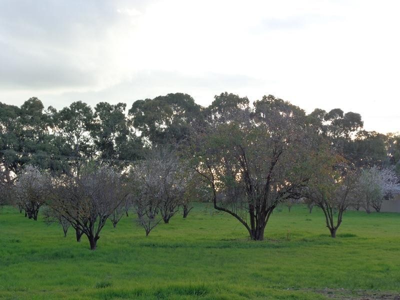 30 Burleigh Street, Langhorne Creek SA 5255