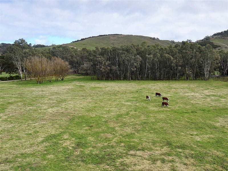 546 Pyrites Road, Brukunga SA 5252