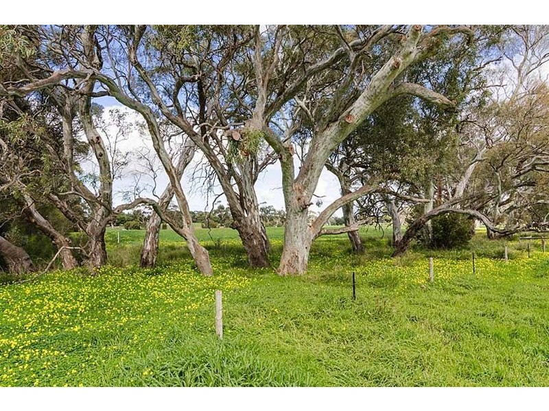 14 Catt Drive, Strathalbyn SA 5255