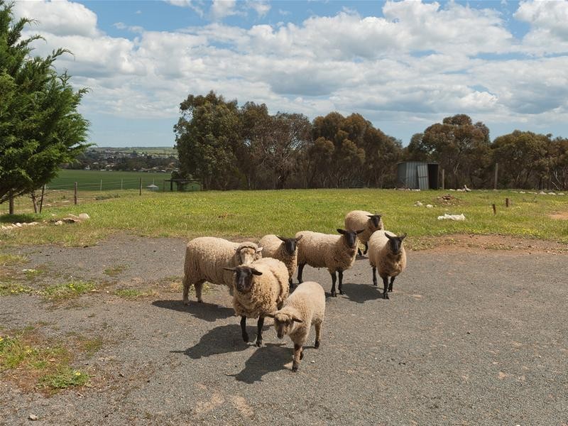 Lot 6 Callington Road, Strathalbyn SA 5255