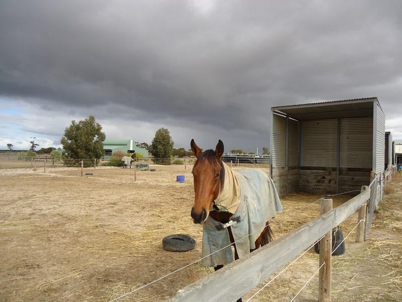 380 Nurragi Road, Nurragi SA 5256