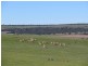 Lot 6 Bremer Range Road, Callington SA 5254