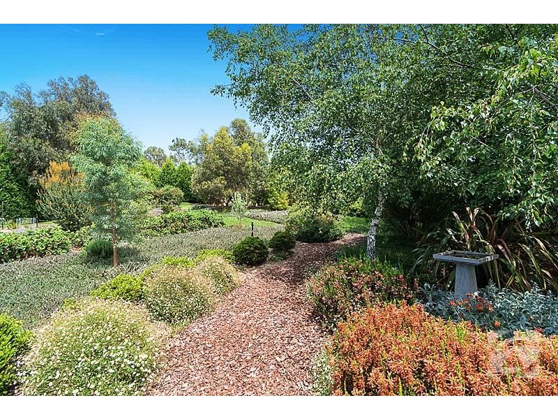 31 Waterford Avenue, Mount Barker SA 5251