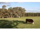 Lot 209 Harper Road, Meadows SA 5201