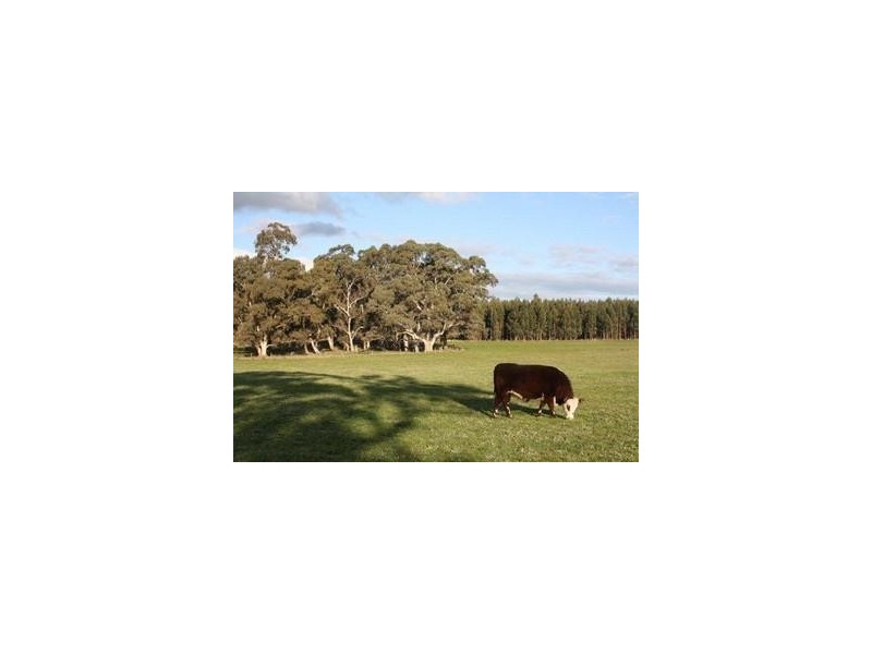 Lot 209 Harper Road, Meadows SA 5201