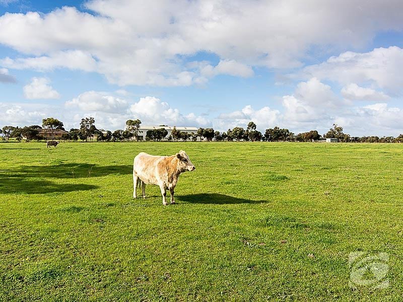 685 Nurragi Road, Strathalbyn SA 5255