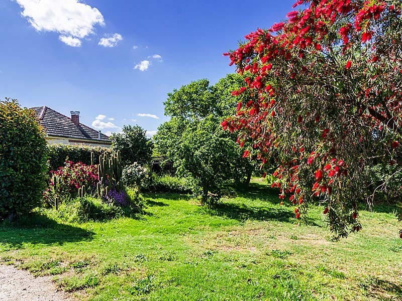 16 Allargue Street, Nairne SA 5252