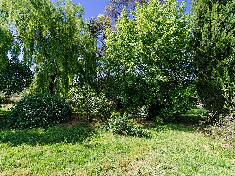 16 Allargue Street, Nairne SA 5252