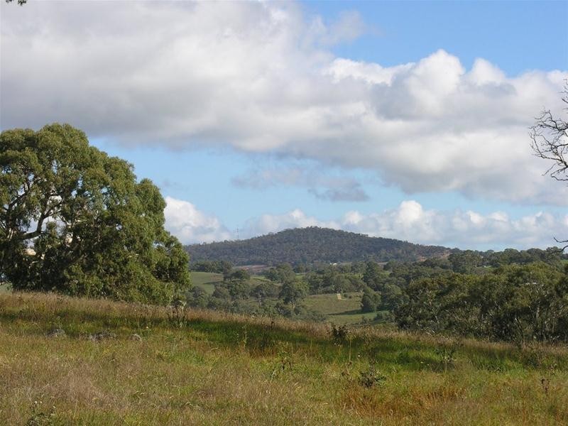 Lot 34 Princes Highway, Dawesley SA 5252