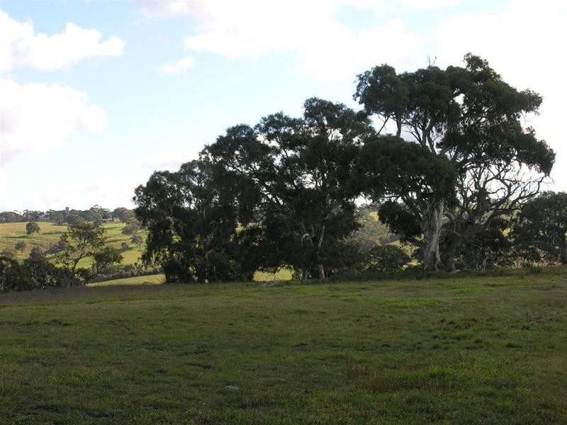 Lot 34 Princes Highway, Dawesley SA 5252