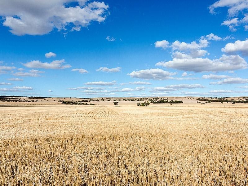 129 North Bremer Road, Callington SA 5254