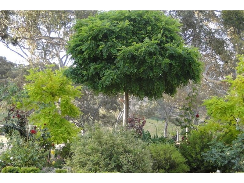 18 Cosgrove  Road, Macclesfield SA 5153