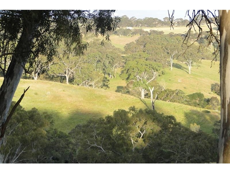 18 Cosgrove  Road, Macclesfield SA 5153