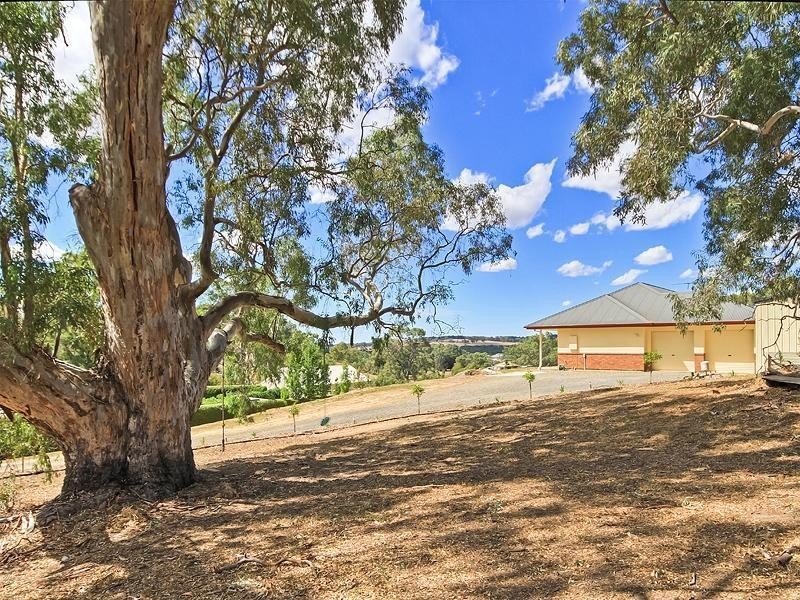 3 Beaumont Court, Mount Barker SA 5251