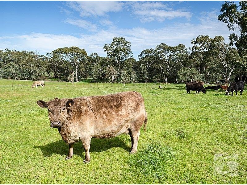 22 Braendler Road, Echunga SA 5153