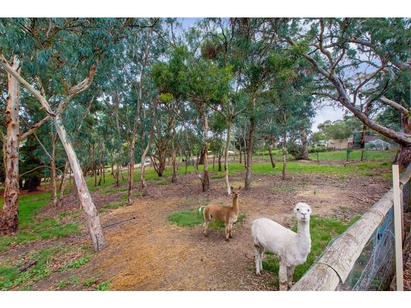 7 Wirrinilla Drive, Macclesfield SA 5153