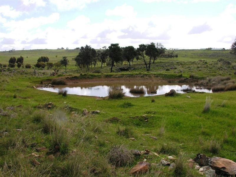 62 Gogel Road, Monarto SA 5254