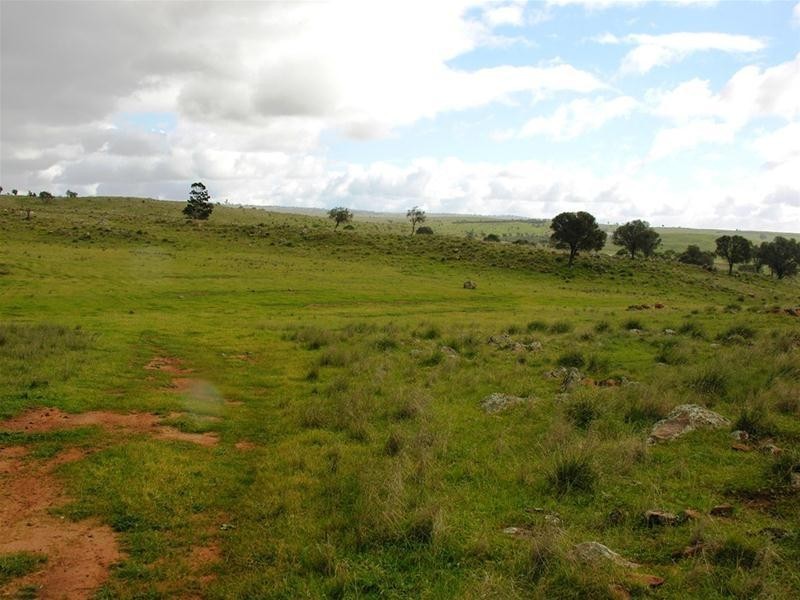 62 Gogel Road, Monarto SA 5254