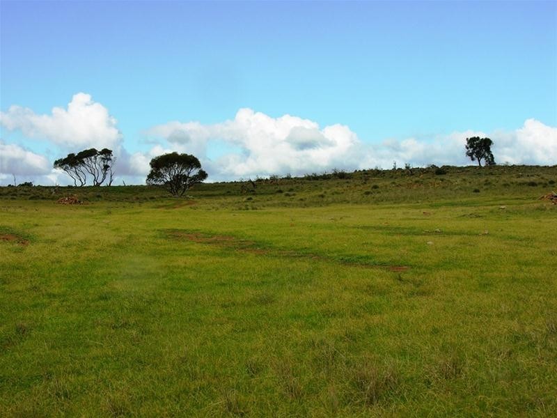 62 Gogel Road, Monarto SA 5254