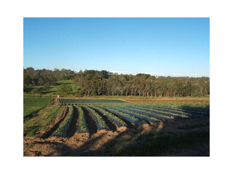 Lot 59 Lesley Road, Nairne SA 5252