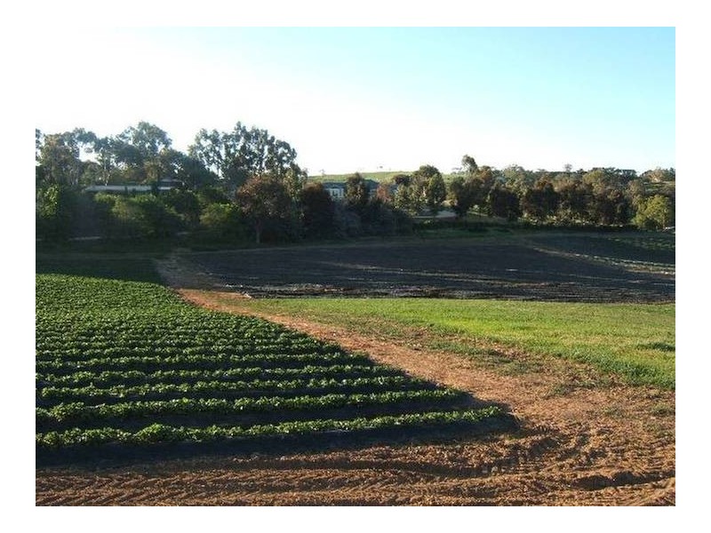 Lot 59 Lesley Road, Nairne SA 5252