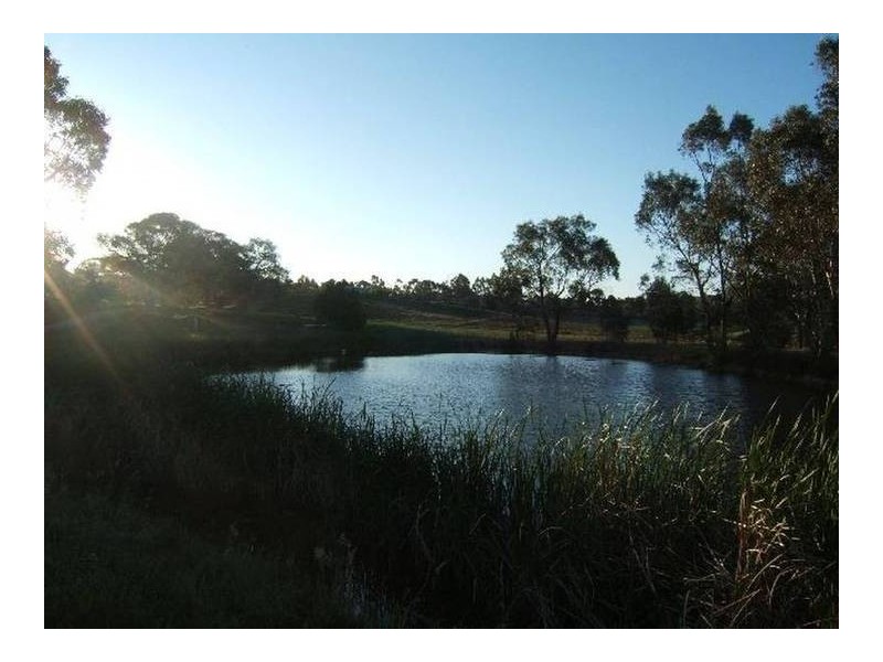 Lot 59 Lesley Road, Nairne SA 5252