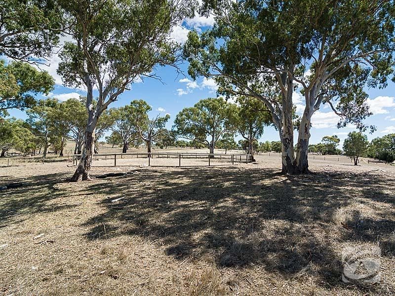 84 Sawpit Gully Road, Dawesley SA 5252
