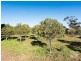 2832 Langhorne Creek Road, Langhorne Creek SA 5255