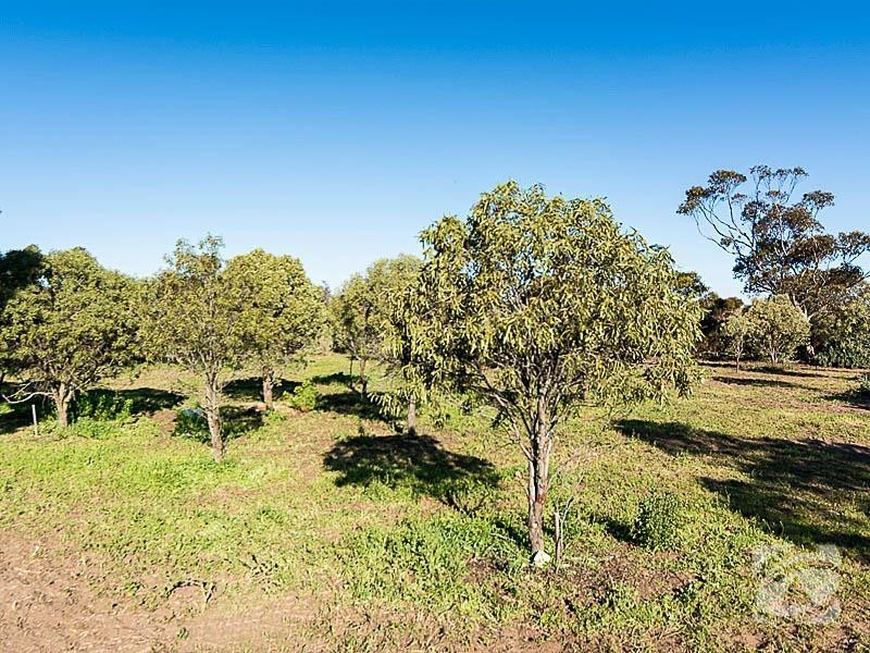 2832 Langhorne Creek Road, Langhorne Creek SA 5255