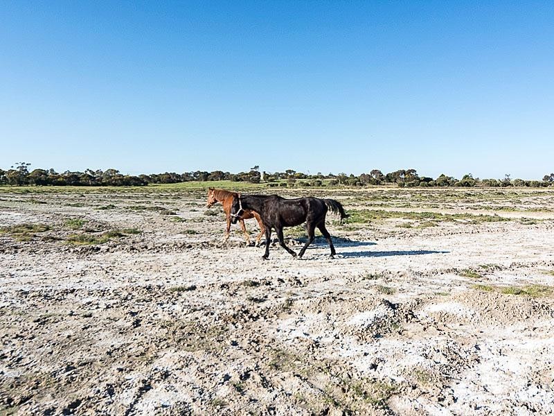 2832 Langhorne Creek Road, Langhorne Creek SA 5255