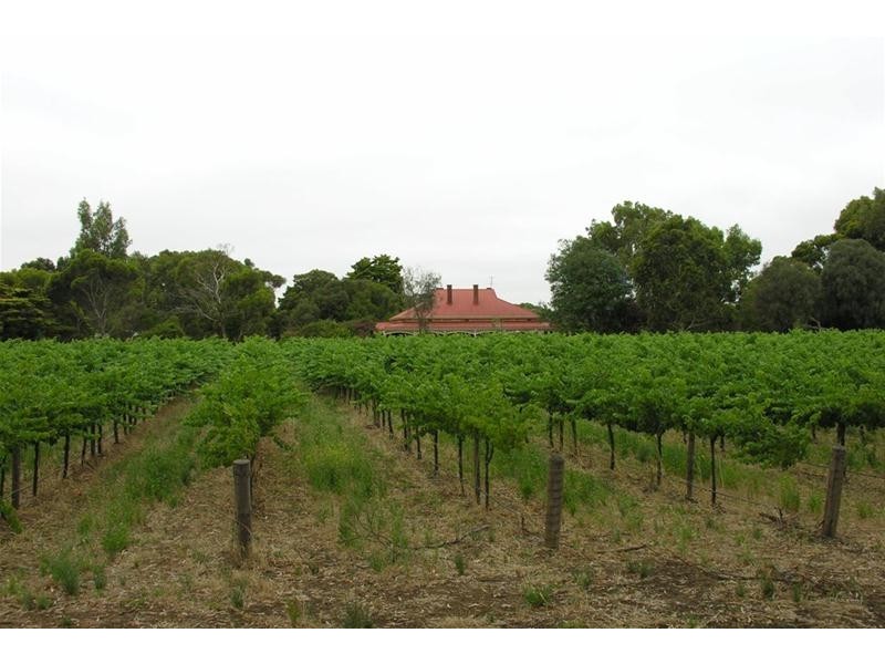 Lot 60 Step Road, Langhorne Creek SA 5255