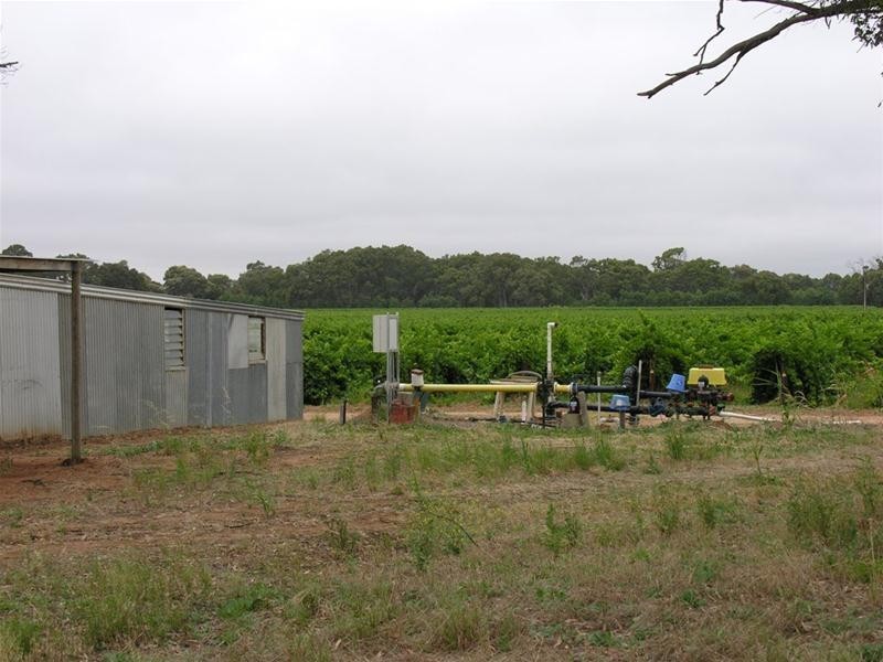 Lot 60 Step Road, Langhorne Creek SA 5255