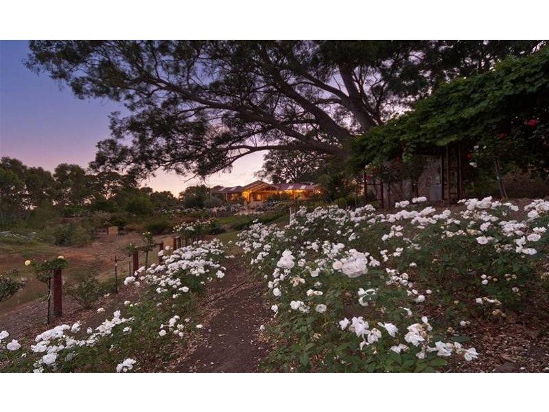 25 Dyer Road, Macclesfield SA 5153