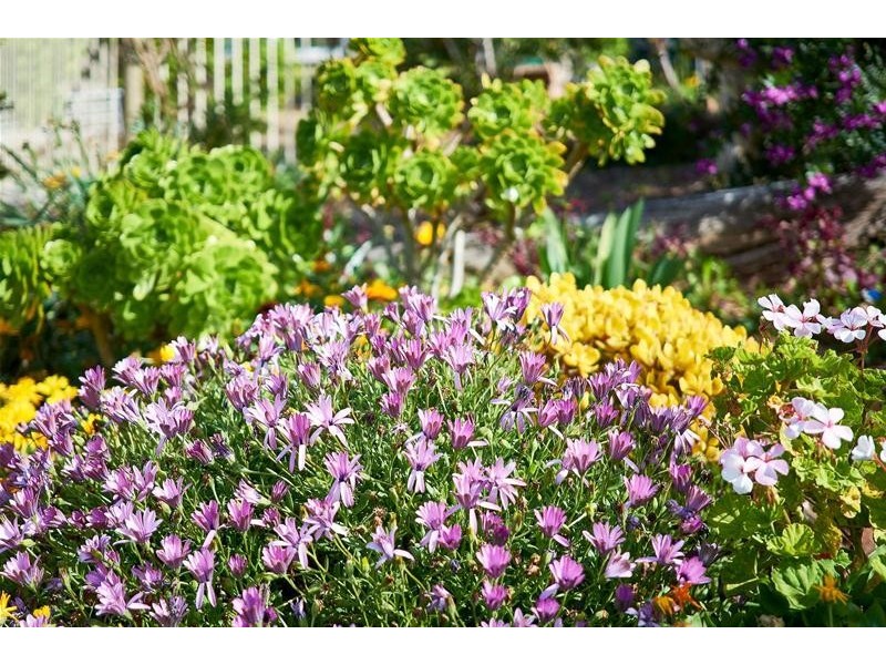 8 Caldwell Street, Strathalbyn SA 5255