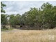 189 Pyrites Road, Nairne SA 5252