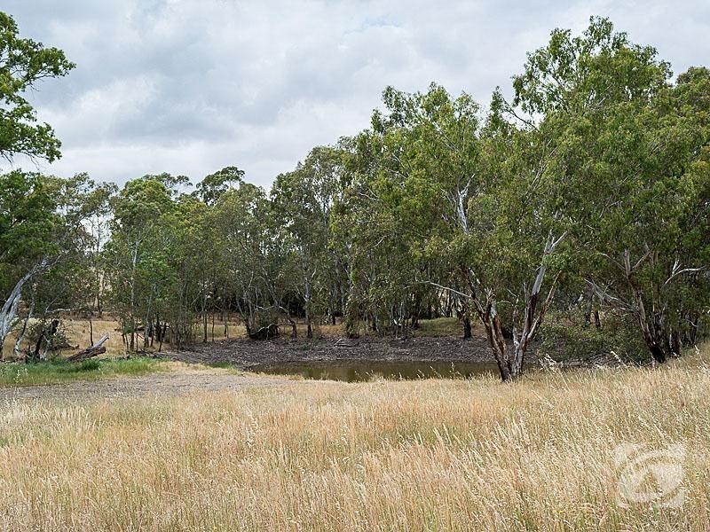 189 Pyrites Road, Nairne SA 5252