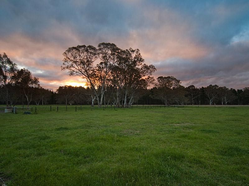 Lot 243 Brookman Road, Meadows SA 5201