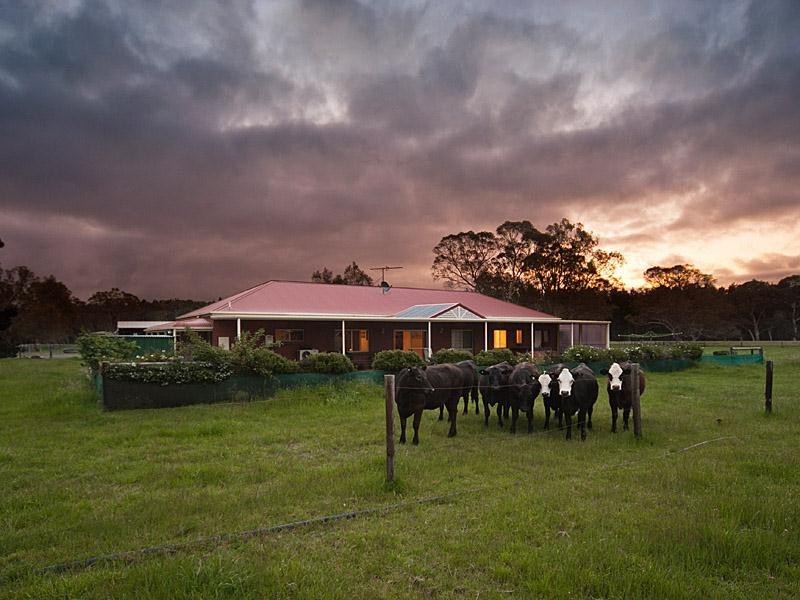 Lot 243 Brookman Road, Meadows SA 5201