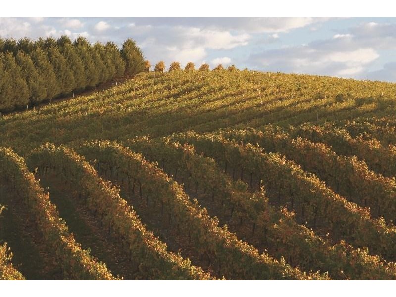 Lots 1 & 2 Spring Park Drive, Littlehampton SA 5250