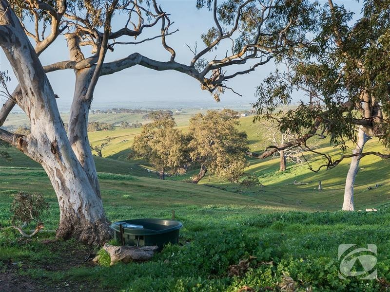 Lot 32 Scrubby Hill Road, Highland Valley SA 5255