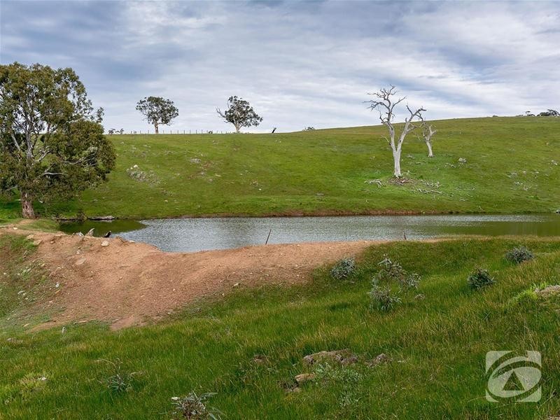 Lot 32 Scrubby Hill Road, Highland Valley SA 5255