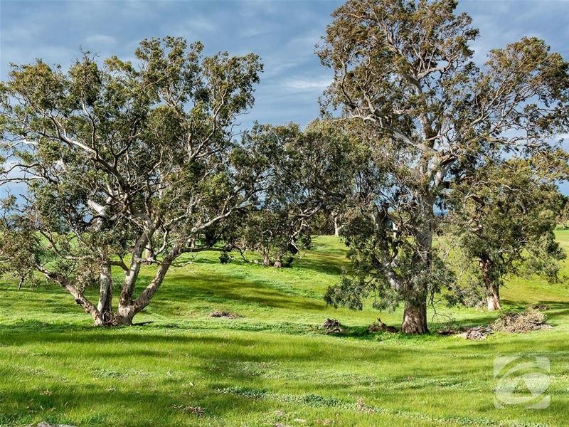 Lot 32 Scrubby Hill Road, Highland Valley SA 5255